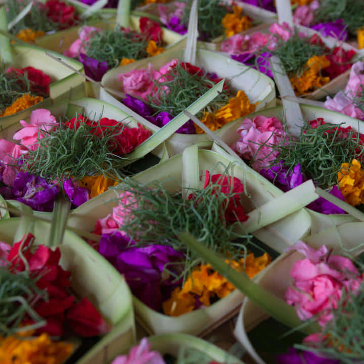 Cooking class and making Balinese Offerings